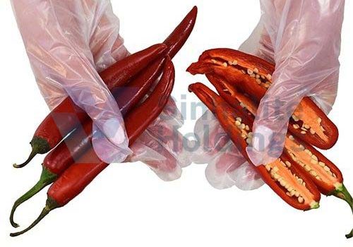 PBAT/PLA Disposable Gloves