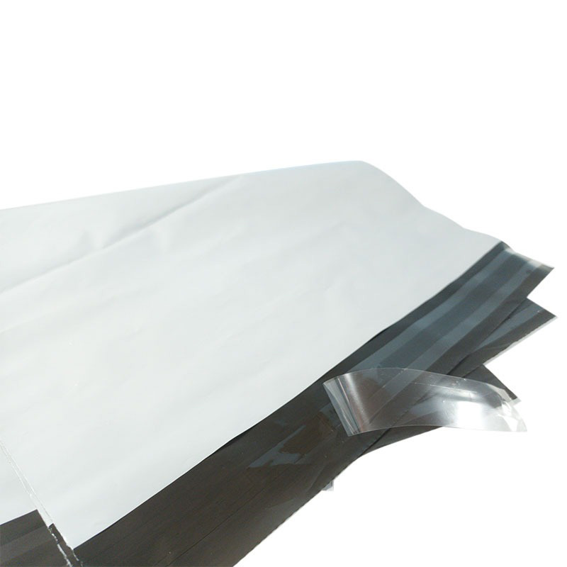 Compostable Express Mail Bag - Image 1