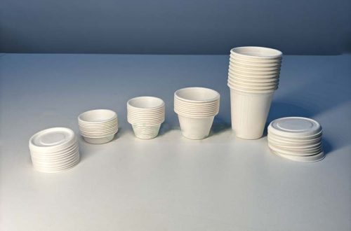 Compostable Bagasse Cup
