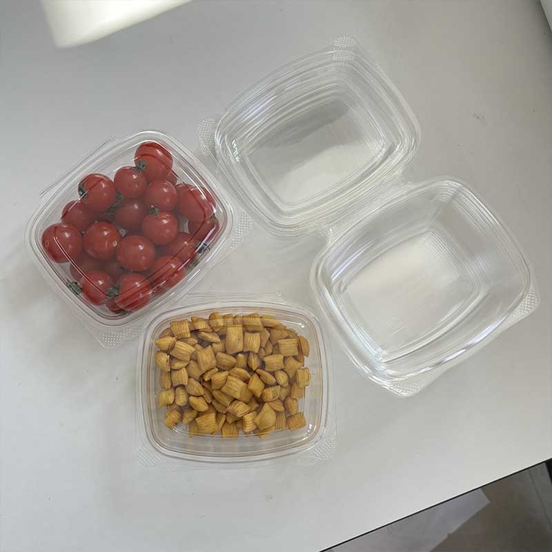 PLA Hinged Food Container - Image 1