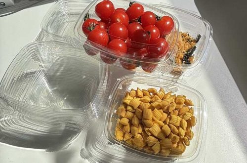 PLA Hinged Food Container
