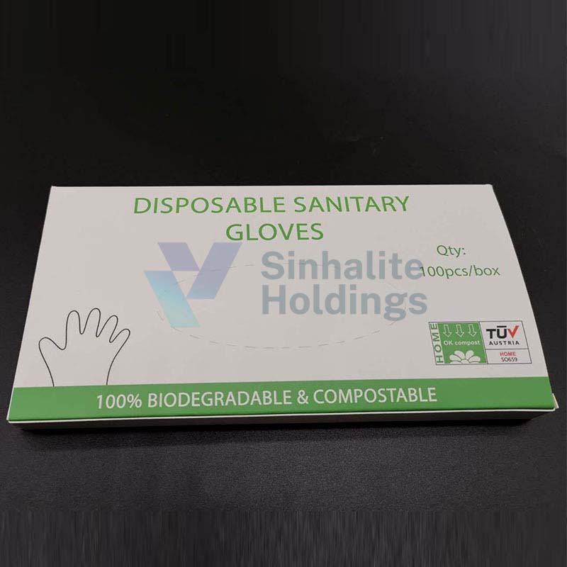 Disposable Gloves
